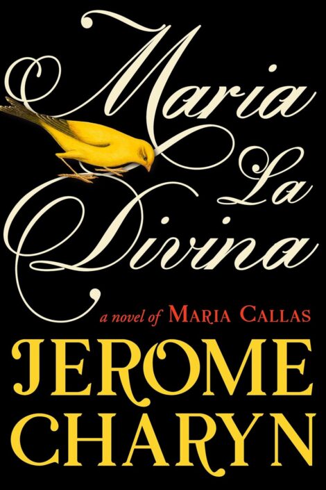 One of our recommended books is Maria La Divina by Jerome Charyn