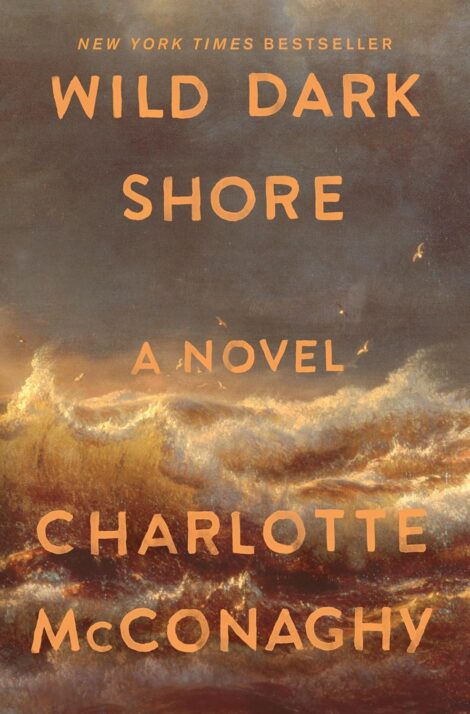 One of our recommended books is Wild Dark Shore by Charlotte McConaghy